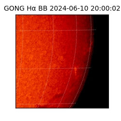 gong - 2024-06-10T20:00:02