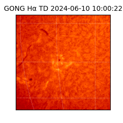 gong - 2024-06-10T10:00:22