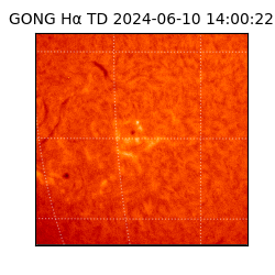 gong - 2024-06-10T14:00:22