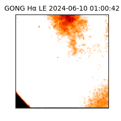 gong - 2024-06-10T01:00:42