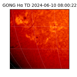 gong - 2024-06-10T08:00:22