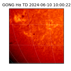 gong - 2024-06-10T10:00:22