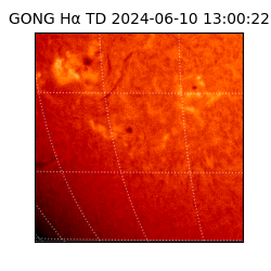 gong - 2024-06-10T13:00:22