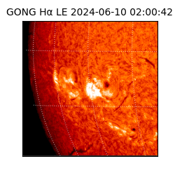 gong - 2024-06-10T02:00:42