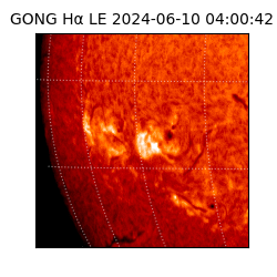 gong - 2024-06-10T04:00:42