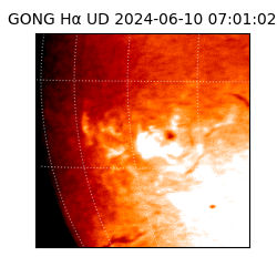 gong - 2024-06-10T07:01:02