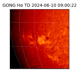 gong - 2024-06-10T09:00:22