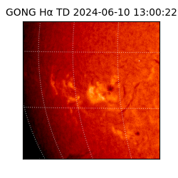 gong - 2024-06-10T13:00:22
