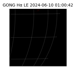gong - 2024-06-10T01:00:42