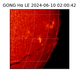 gong - 2024-06-10T02:00:42
