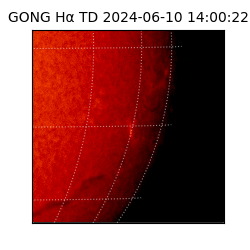 gong - 2024-06-10T14:00:22