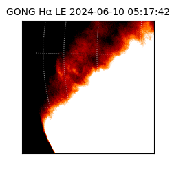 gong - 2024-06-10T05:17:42