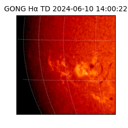 gong - 2024-06-10T14:00:22
