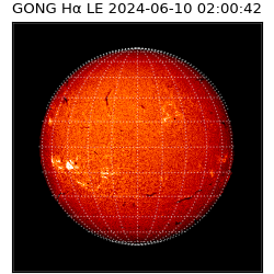 gong - 2024-06-10T02:00:42
