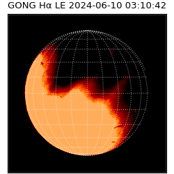 gong - 2024-06-10T03:10:42