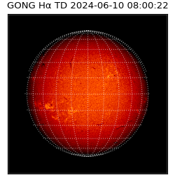 gong - 2024-06-10T08:00:22