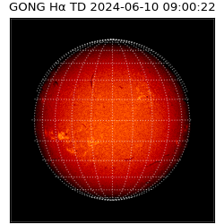 gong - 2024-06-10T09:00:22