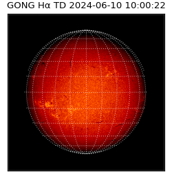 gong - 2024-06-10T10:00:22