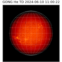 gong - 2024-06-10T11:00:22