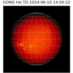 gong - 2024-06-10T14:00:22