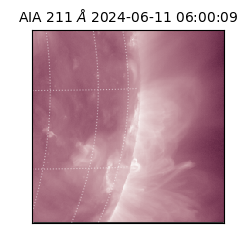 saia - 2024-06-11T06:00:09.630000
