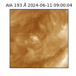 saia - 2024-06-11T09:00:04.843000