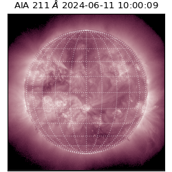 saia - 2024-06-11T10:00:09.626000