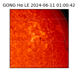 gong - 2024-06-11T01:00:42