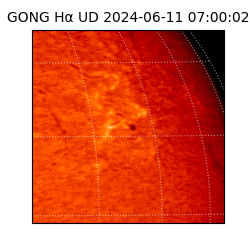 gong - 2024-06-11T07:00:02