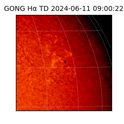 gong - 2024-06-11T09:00:22