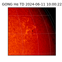 gong - 2024-06-11T10:00:22