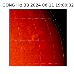 gong - 2024-06-11T19:00:02