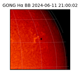 gong - 2024-06-11T21:00:02