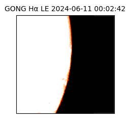 gong - 2024-06-11T00:02:42