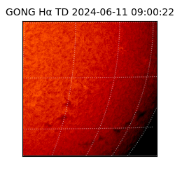 gong - 2024-06-11T09:00:22