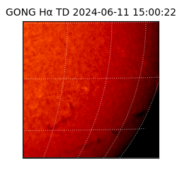 gong - 2024-06-11T15:00:22