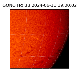 gong - 2024-06-11T19:00:02