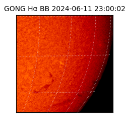 gong - 2024-06-11T23:00:02