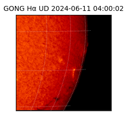 gong - 2024-06-11T04:00:02