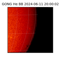 gong - 2024-06-11T20:00:02