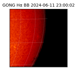 gong - 2024-06-11T23:00:02