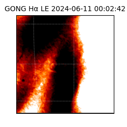 gong - 2024-06-11T00:02:42