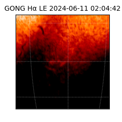 gong - 2024-06-11T02:04:42