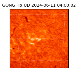 gong - 2024-06-11T04:00:02
