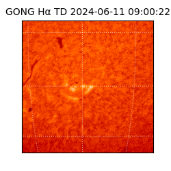 gong - 2024-06-11T09:00:22