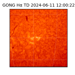 gong - 2024-06-11T12:00:22