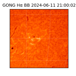 gong - 2024-06-11T21:00:02