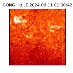 gong - 2024-06-11T01:00:42