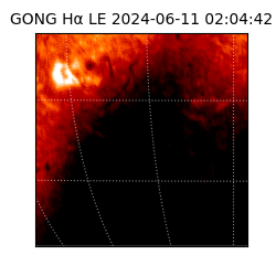 gong - 2024-06-11T02:04:42