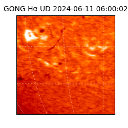 gong - 2024-06-11T06:00:02